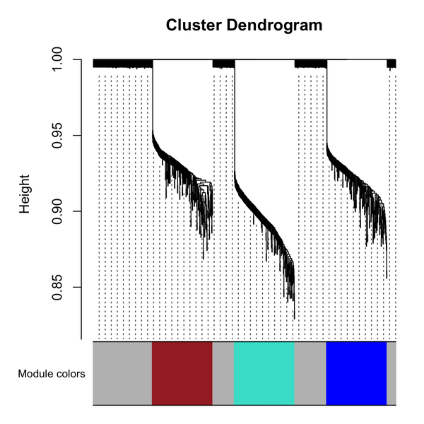 File:Wgcna 3clusters dend.png