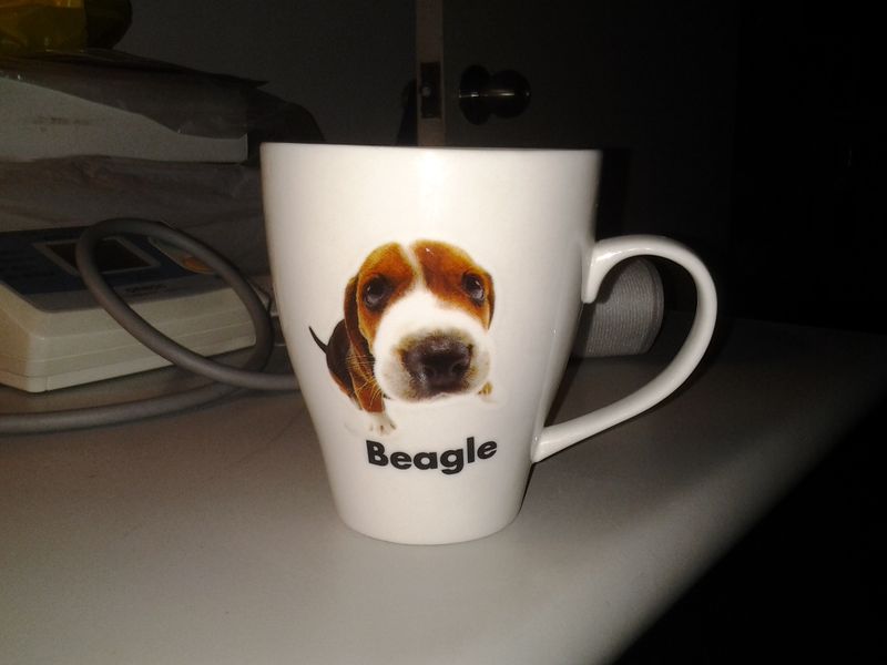 File:BeagleboneCup.jpg